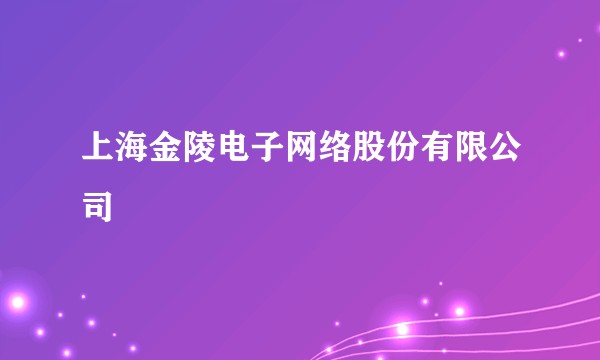 上海金陵电子网络股份有限公司