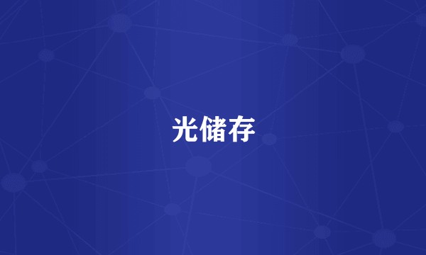 光储存