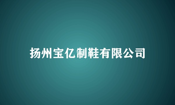 扬州宝亿制鞋有限公司