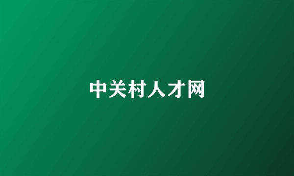 中关村人才网