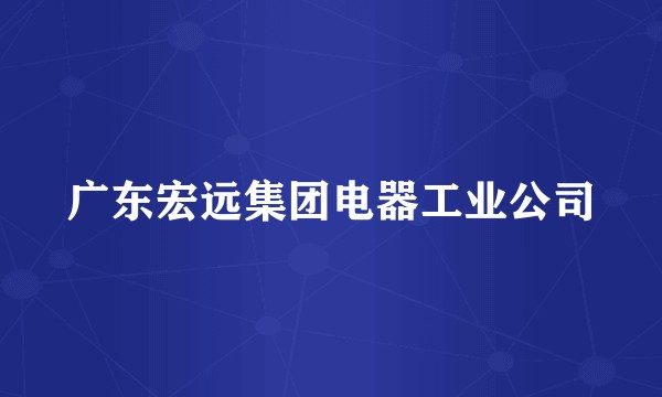 广东宏远集团电器工业公司