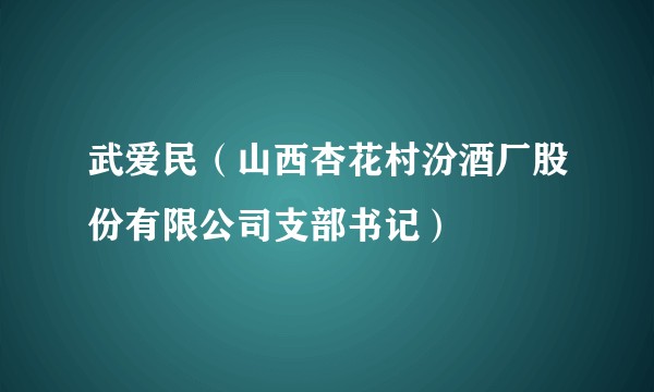 武爱民（山西杏花村汾酒厂股份有限公司支部书记）