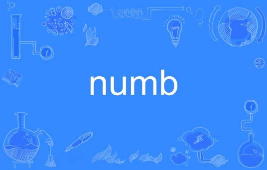 Numb(英语单词)