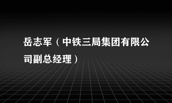 岳志军（中铁三局集团有限公司副总经理）