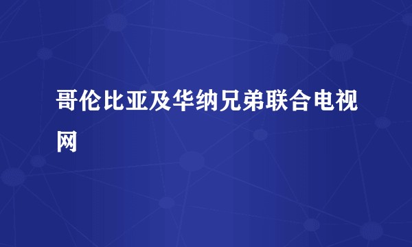 哥伦比亚及华纳兄弟联合电视网