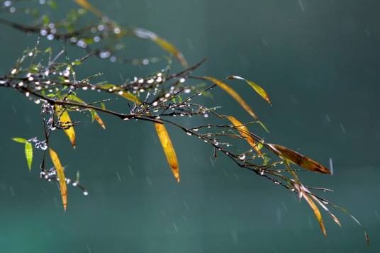 一场秋雨一场寒