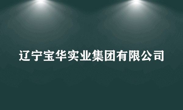 辽宁宝华实业集团有限公司