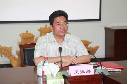 王振海（陕西省发展和改革委员会原副主任）
