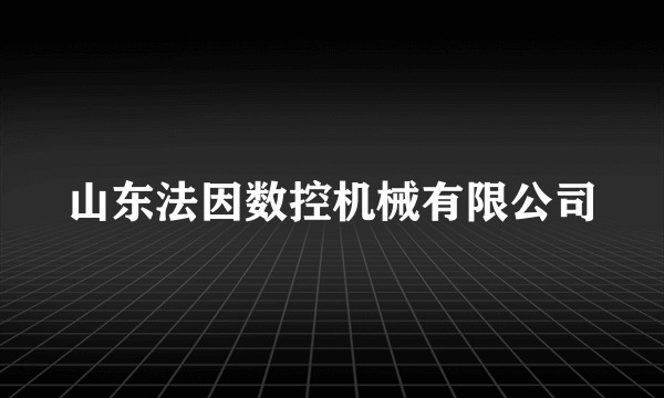 山东法因数控机械有限公司