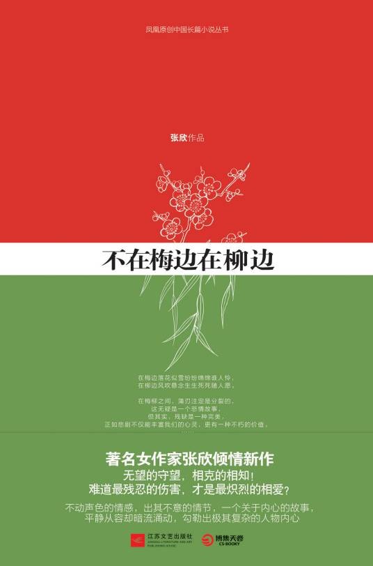 不在梅边在柳边（2011年江苏文艺出版社出版的图书）