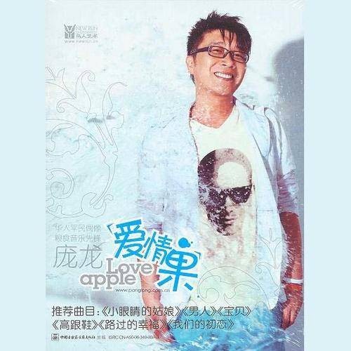 爱情旅途（庞龙演唱的歌曲）