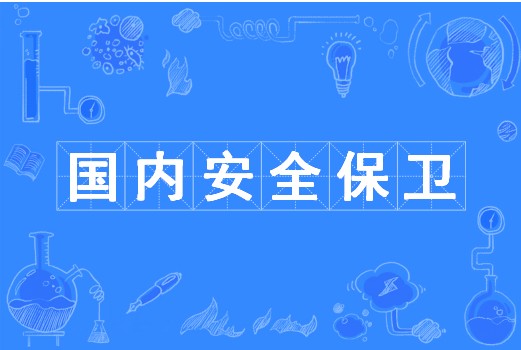 国内安全保卫（中国普通高等学校本科专业）