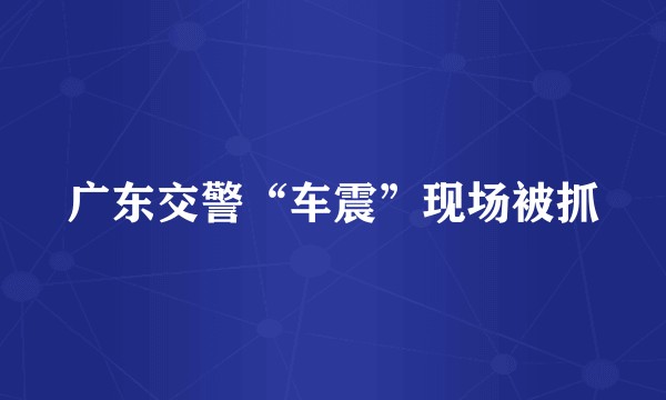 广东交警“车震”现场被抓