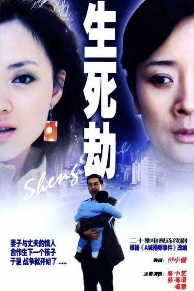 生死劫（2006年傅小健执导的电视剧）