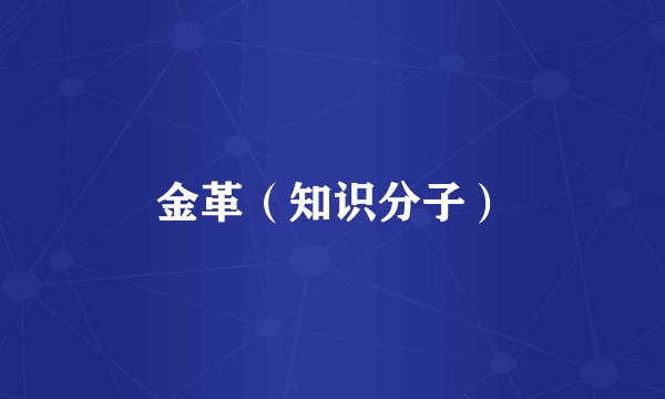 金革（知识分子）