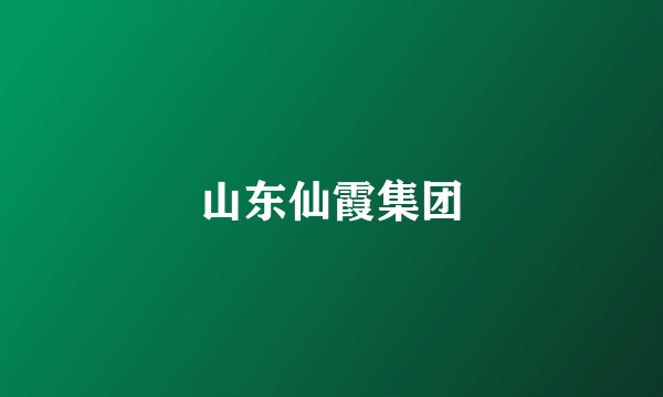 山东仙霞集团