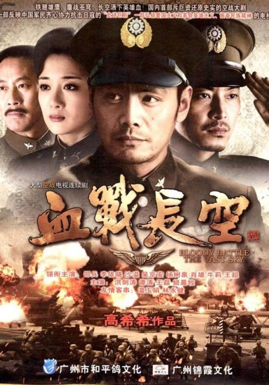 血战长空（2010年高希希执导的电视剧）