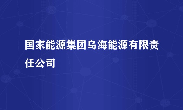 国家能源集团乌海能源有限责任公司