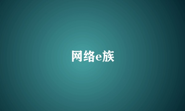 网络e族