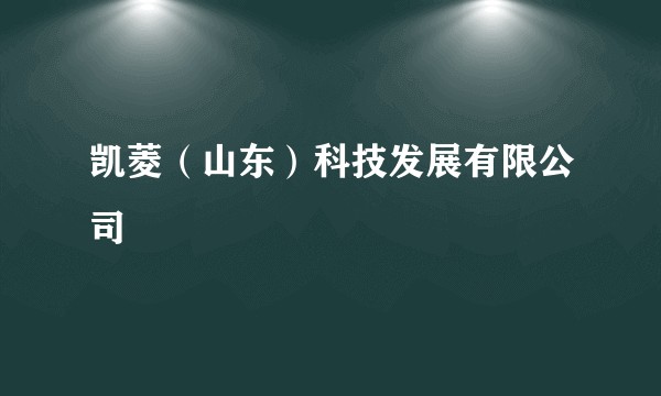 凯菱（山东）科技发展有限公司