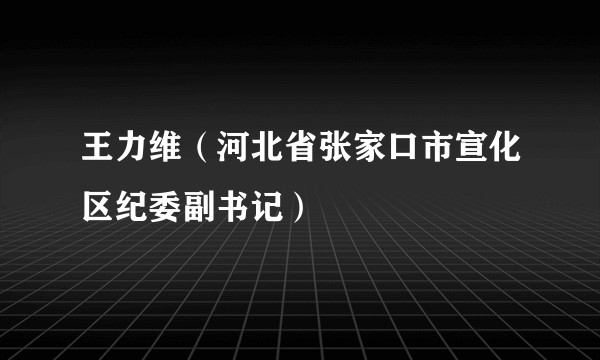 王力维（河北省张家口市宣化区纪委副书记）