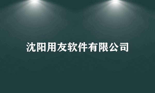 沈阳用友软件有限公司
