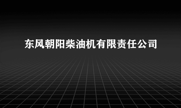 东风朝阳柴油机有限责任公司
