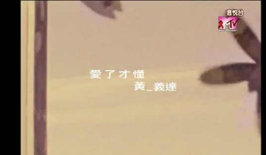 爱了才懂