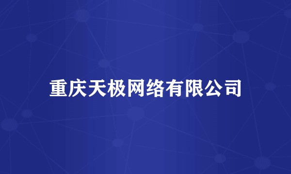 重庆天极网络有限公司