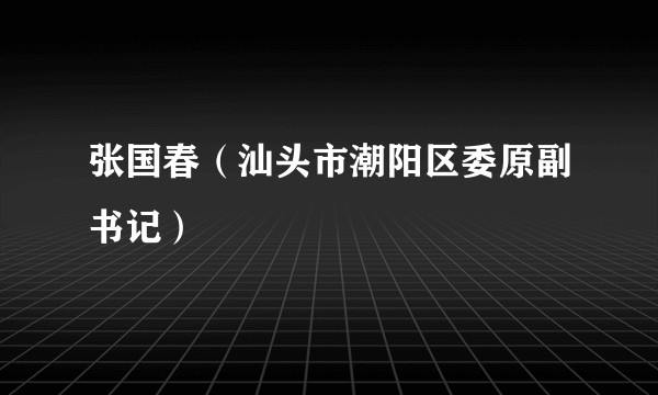 张国春（汕头市潮阳区委原副书记）