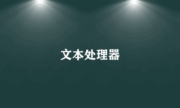 文本处理器