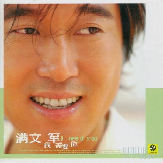 我需要你（满文军2002年音乐专辑）