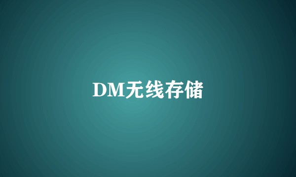 DM无线存储