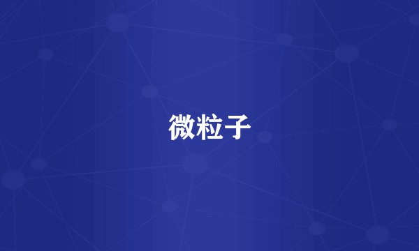 微粒子