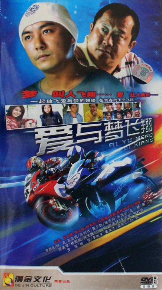 爱与梦飞翔（2004年叶伟民执导的电视剧）