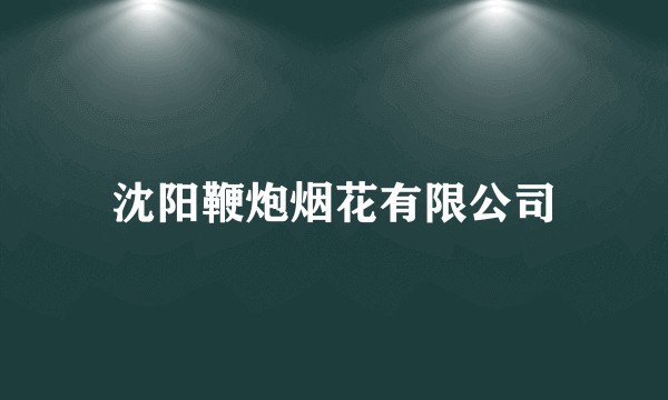 沈阳鞭炮烟花有限公司