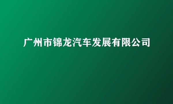 广州市锦龙汽车发展有限公司