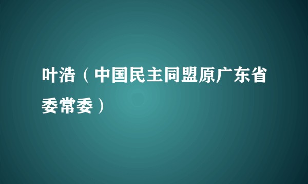 叶浩（中国民主同盟原广东省委常委）