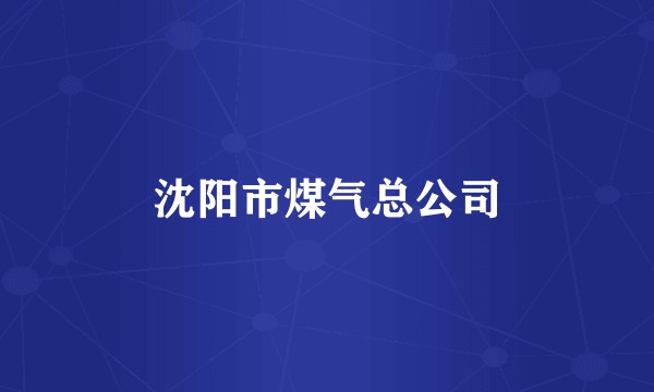 沈阳市煤气总公司