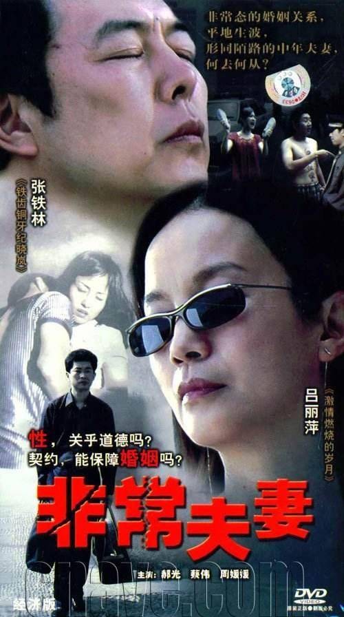 非常夫妻(2006年陈应岐执导的电视剧)