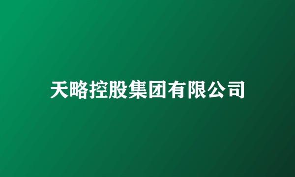 天略控股集团有限公司