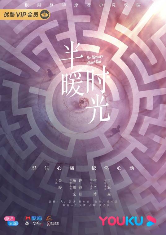 半暖时光（2021年杨旭文、许龄月主演的都市情感剧）
