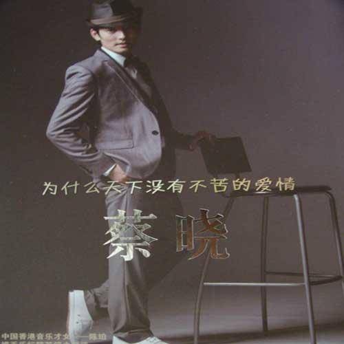 我依然爱着你（蔡晓演唱的歌曲）