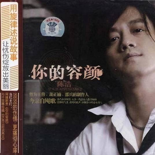 你的容颜（陈浩演唱歌曲）
