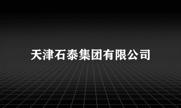 天津石泰集团有限公司