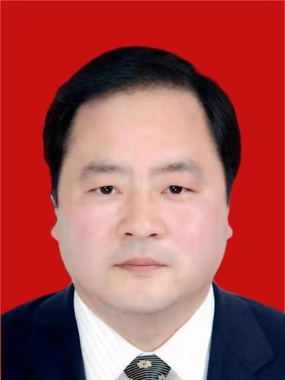 王日新(陕西省安康市白河县委书记)