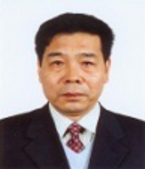 张国亮（天津大学化工学院教授）