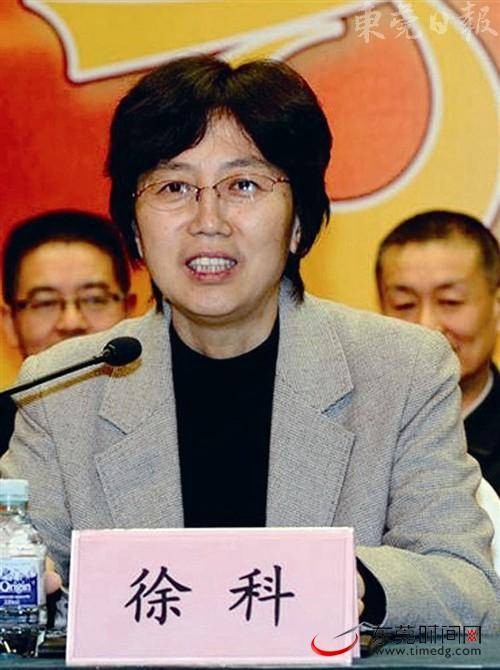 徐科（第十三届全国人大外事委员会副主任委员）