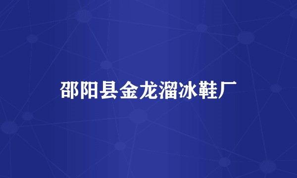 邵阳县金龙溜冰鞋厂