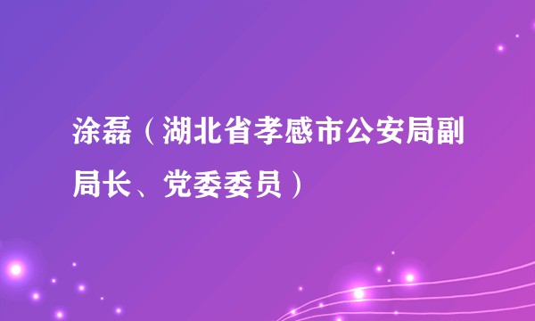 涂磊（湖北省孝感市公安局副局长、党委委员）